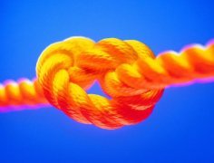 勞務(wù)派遣--全程、轉(zhuǎn)移、減員、項(xiàng)目及試用派遣